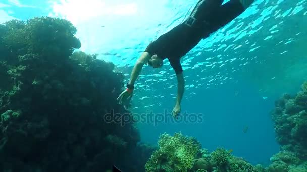 Buceo a los arrecifes de coral . — Vídeo de stock