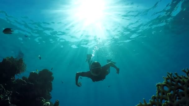 Terbenam di kedalaman laut tanpa scuba — Stok Video