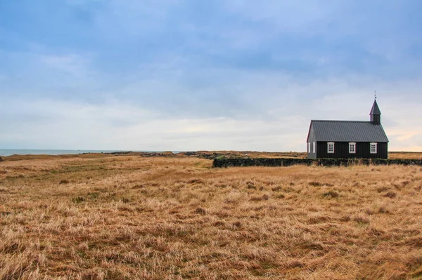 Τυπική αγροτική Ισλανδικά εκκλησία σε κίτρινο πεδίο και το μπλε του ουρανού — Φωτογραφία Αρχείου