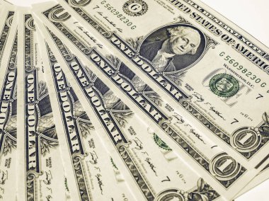 Vintage Dolarlar 1 Dolar