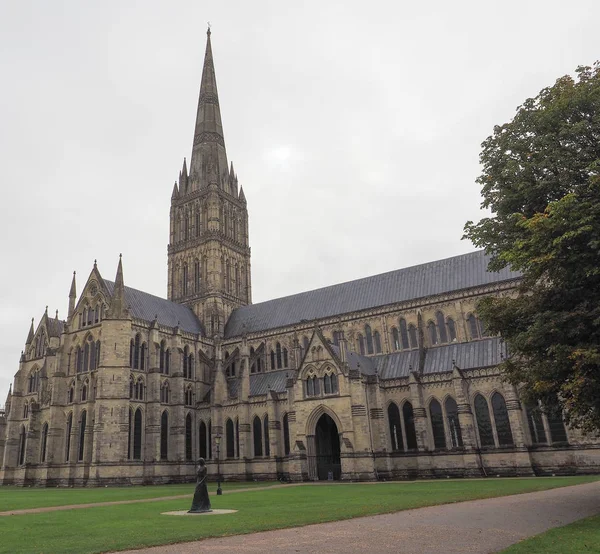 Salisburská katedrála v Salisbury — Stock fotografie