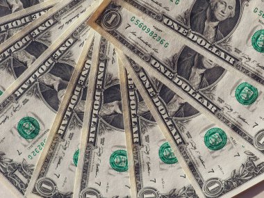 Amerika Birleşik Devletleri (ABD Doları (Usd) notları)