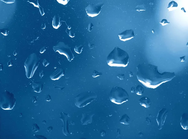 Gotas de água da chuva — Fotografia de Stock