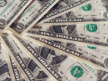 Amerika Birleşik Devletleri (ABD Doları (Usd) notları)