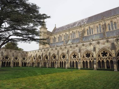 Salisbury Katedrali Salisbury