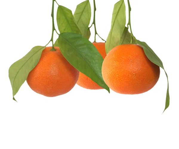 Mandarin isolerade över vita — Stockfoto