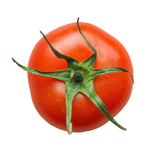 Tomate rouge isolée sur blanc — Photo