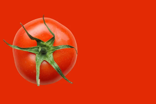 Légume tomate rouge sur rouge — Photo