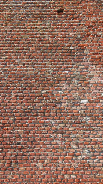 Red bricks - vertical — Stock Photo, Image