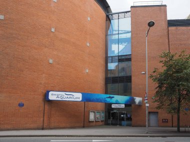 Bristol akvaryum Bristol