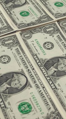 1 dolar dolar notları