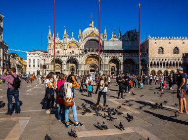 HDR St Mark Meydanı Venedik