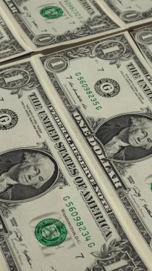 1 dolar dolar notları