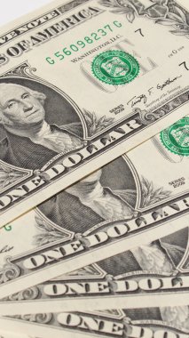 1 dolar dolar notları