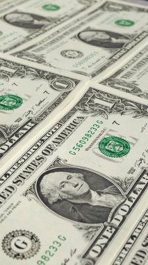 1 dolar dolar notları