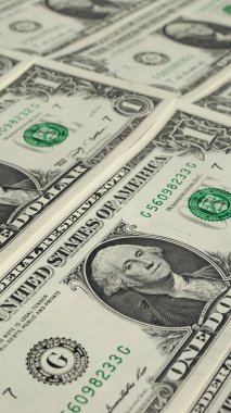 1 dolar dolar notları