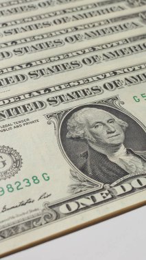 1 dolar dolar notları