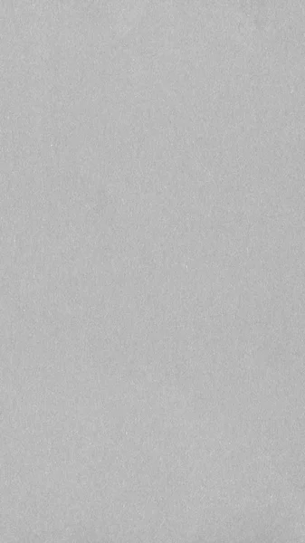 Light gray color paper - vertical — Stock Photo, Image