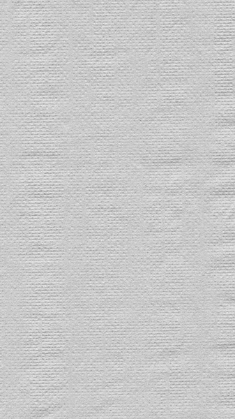 Fundo de textura de papel cinza claro - vertical — Fotografia de Stock