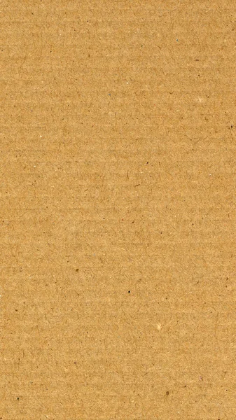 Fondo de cartón ondulado marrón - vertical — Foto de Stock