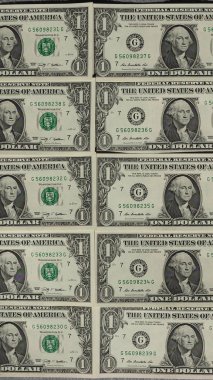1 dolar dolar notları