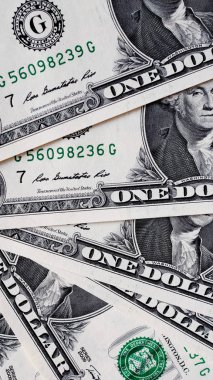 Doları 1 dolar - dikey notları