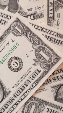 1 dolar dolar notları