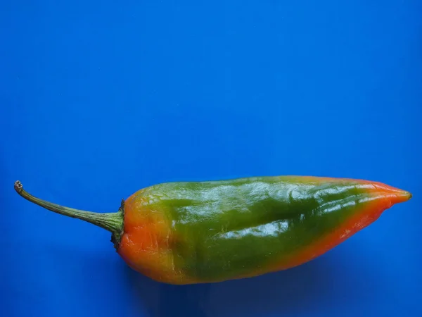 Peppers vegetable over blue with copy space Royalty Free Stock Photos
