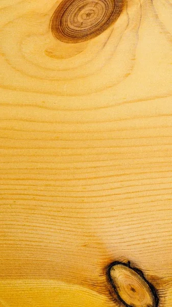 Brun furu trä bakgrund — Stockfoto