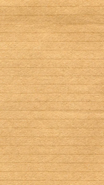 Fondo de textura de papel marrón - vertical — Foto de Stock