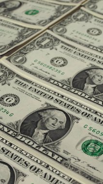 1 dolar dolar notları