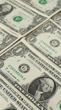 1 dolar dolar notları