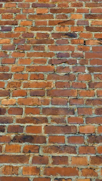 Rode bakstenen muur achtergrond - verticale — Stockfoto