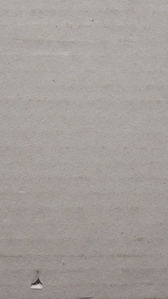 Fundo de papelão ondulado branco - vertical — Fotografia de Stock