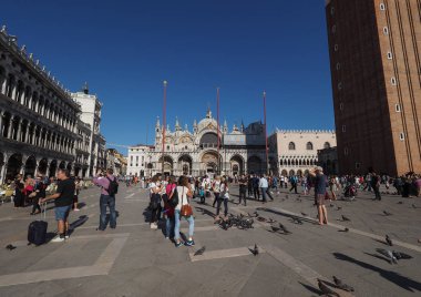 Venedik'te San Marco Meydanı