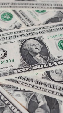 1 dolar dolar notları