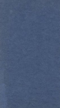 Koyu mavi kitap - dikey