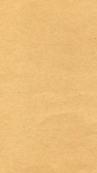 Brown paper texture background - vertical — Stock Photo, Image