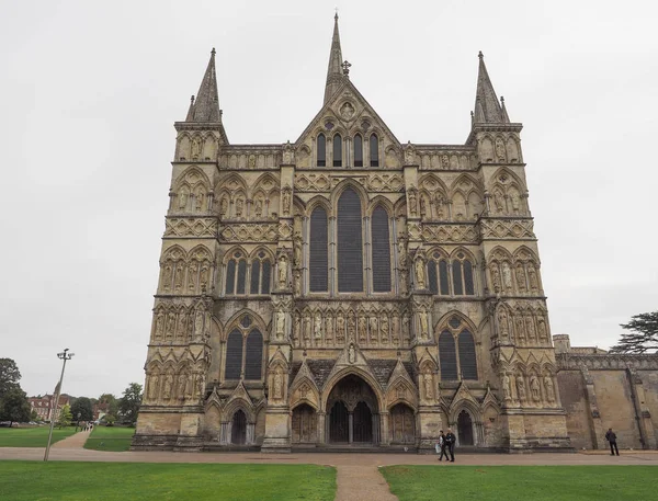 Salisbury Cathedral in Salisbury — Stockfoto