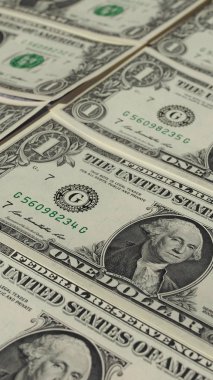 1 dolar dolar notları