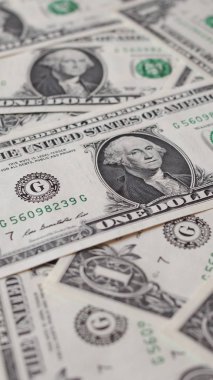 1 dolar dolar notları