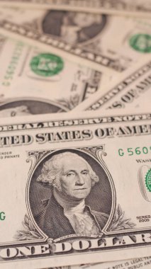 1 dolar dolar notları