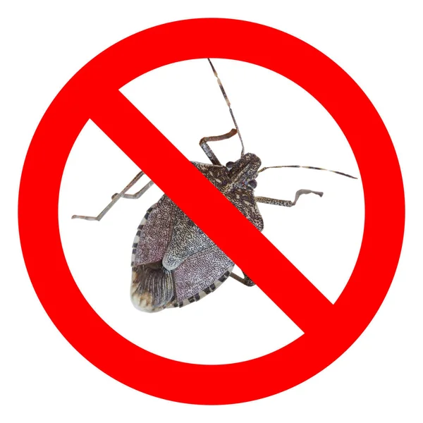 No bugs sign — Stock Photo, Image