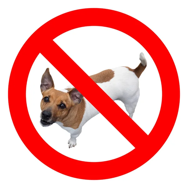 No dogs sign — Stock Photo, Image