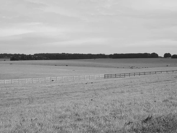 Englisches Landpanorama in Salisbury in schwarz-weiß — Stockfoto