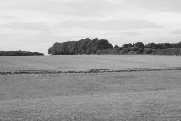 Panorama van de Engelse land in Salisbury in zwart-wit — Stockfoto