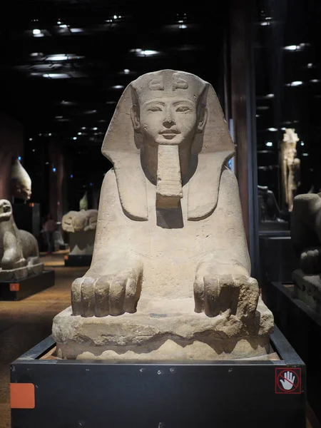 Sfinga na Egyptské muzeum (Egyptské muzeum) v Turíně — Stock fotografie
