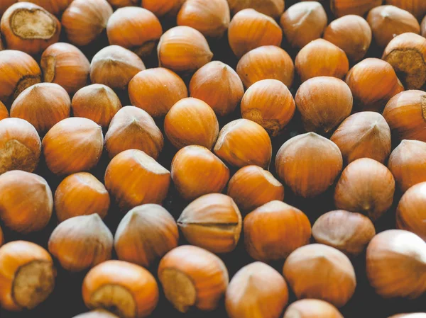 Fruta de avelã, aparência vintage desbotada — Fotografia de Stock