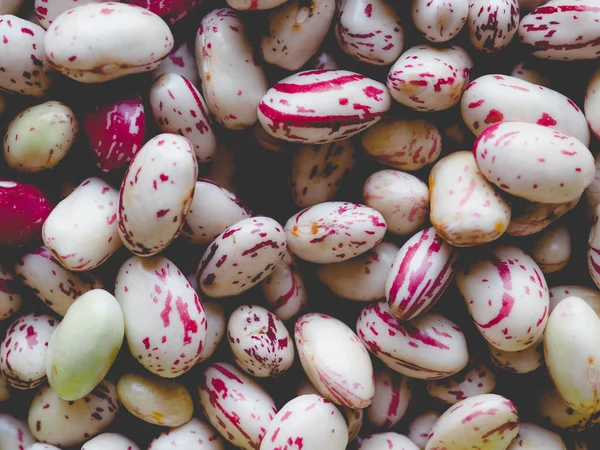 Legumes feijões carmesim legumes, olhar vintage desbotada — Fotografia de Stock