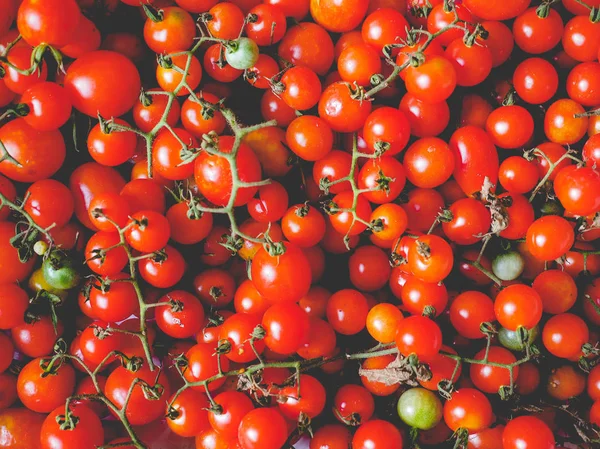 Cherry tomat grönsaker, bleka vintage stil — Stockfoto